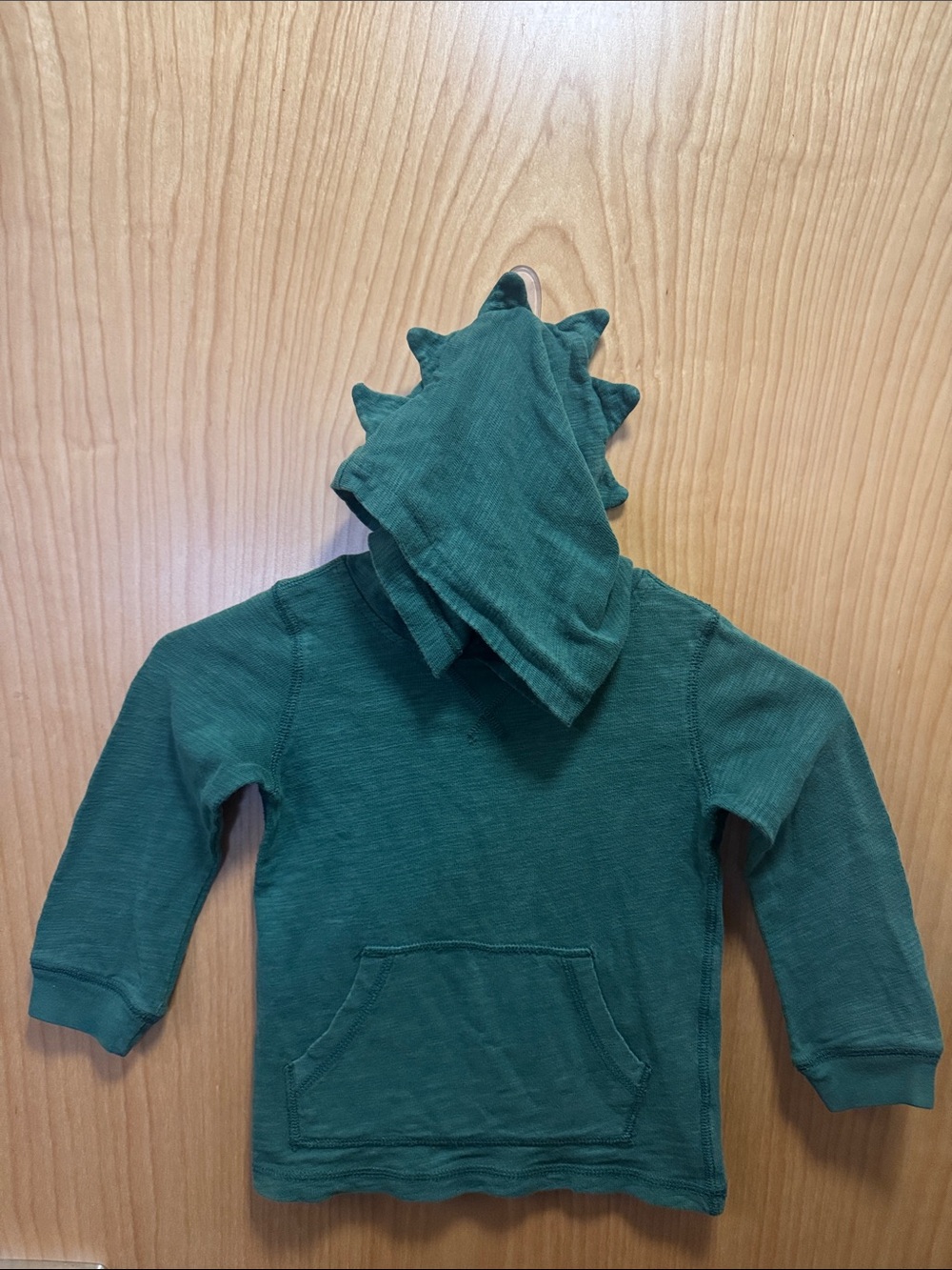 EUC Green Carter’s size 3T hoodie with a dinosaur spiked hood.